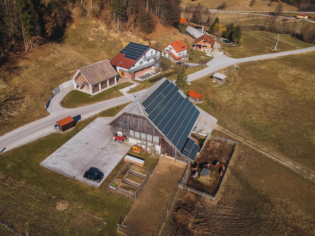 Farm Stay Zurej Šentjur Exterior foto
